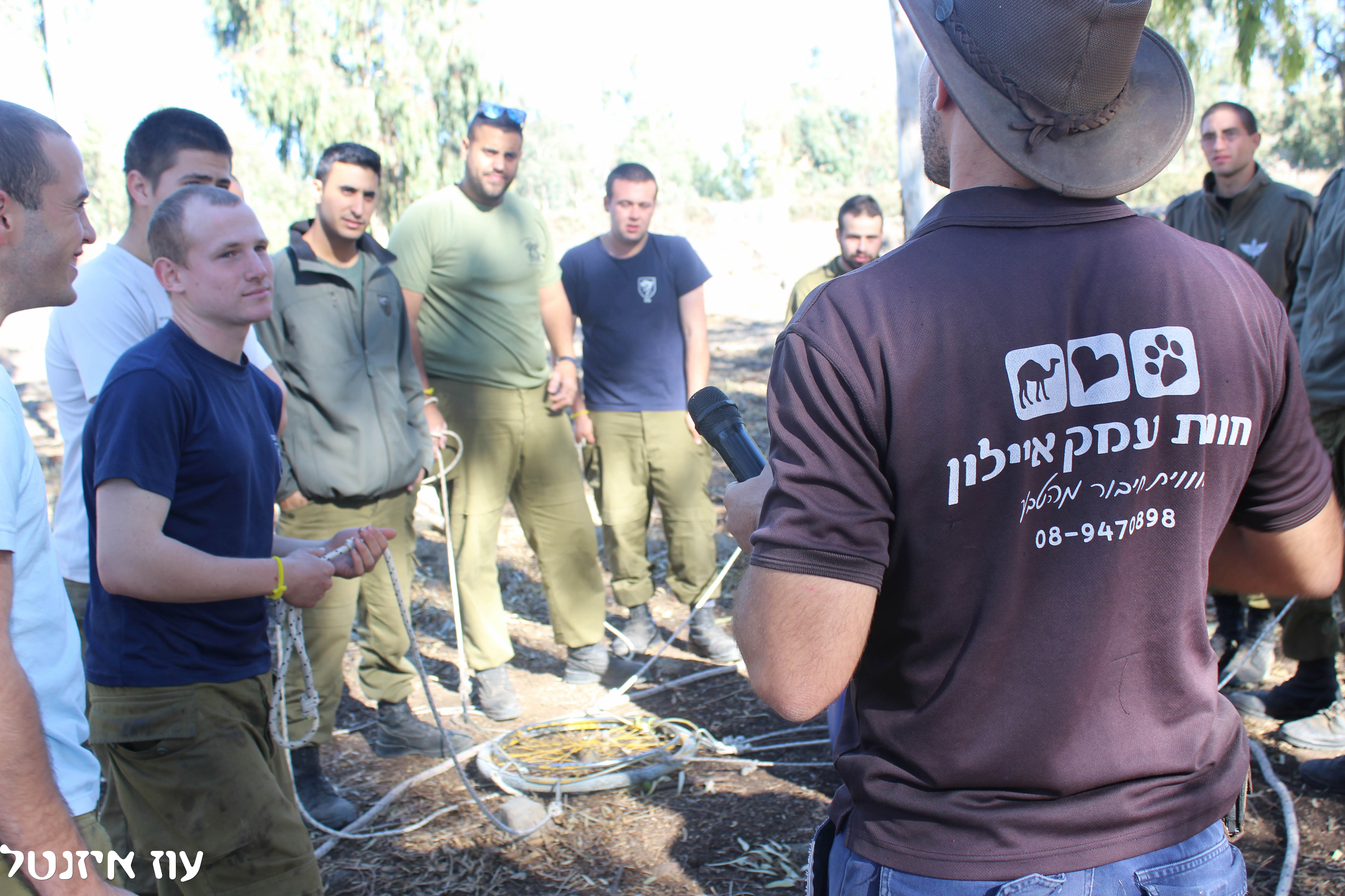 תמונה