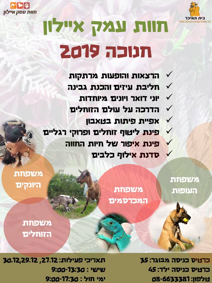 חנוכה 2019
